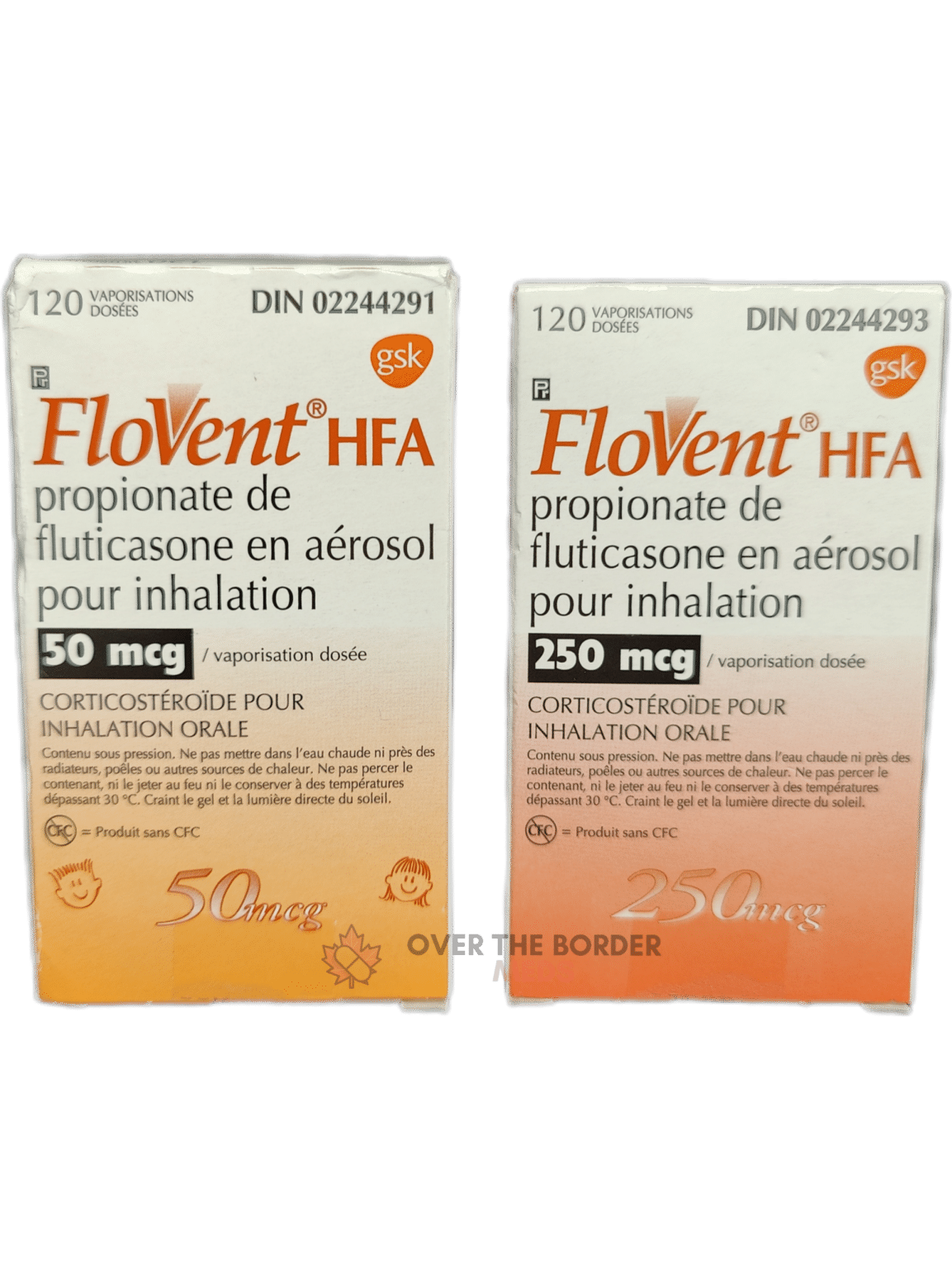 Over The Border Meds Flovent HFA (Fluticasone) Over The Border Meds