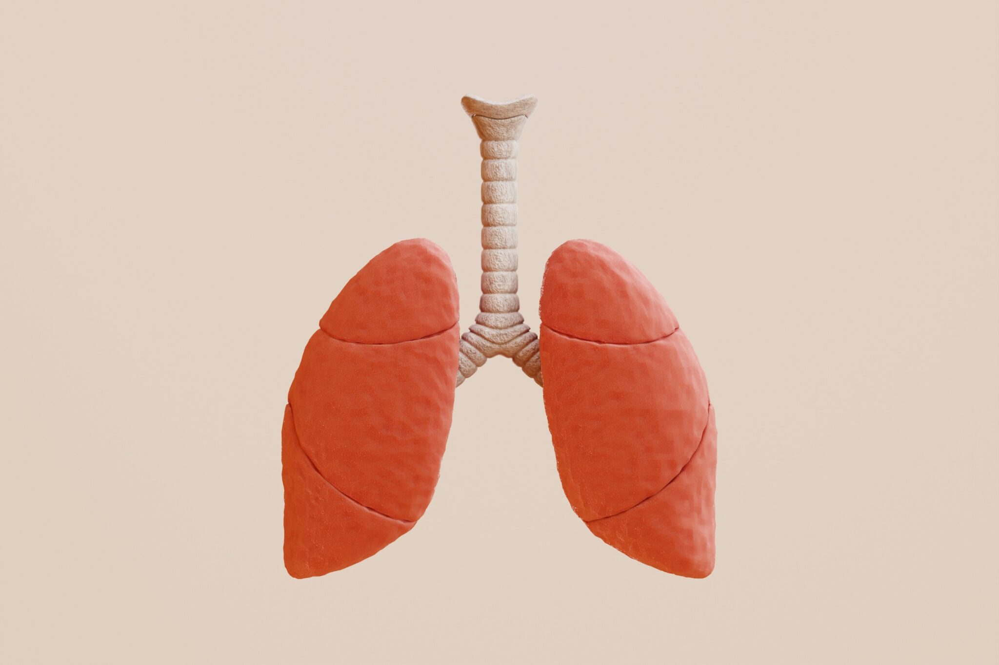Blog Post Image