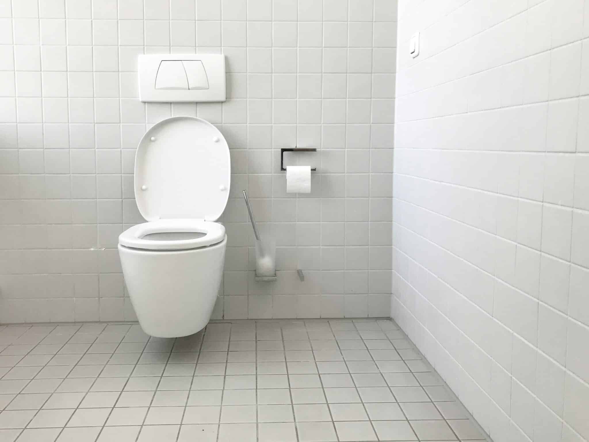 Toilet in a washroom