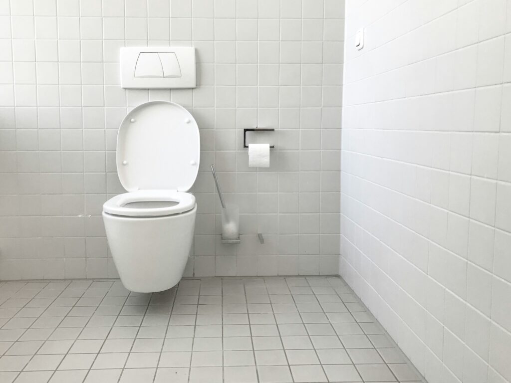 Toilet in a washroom