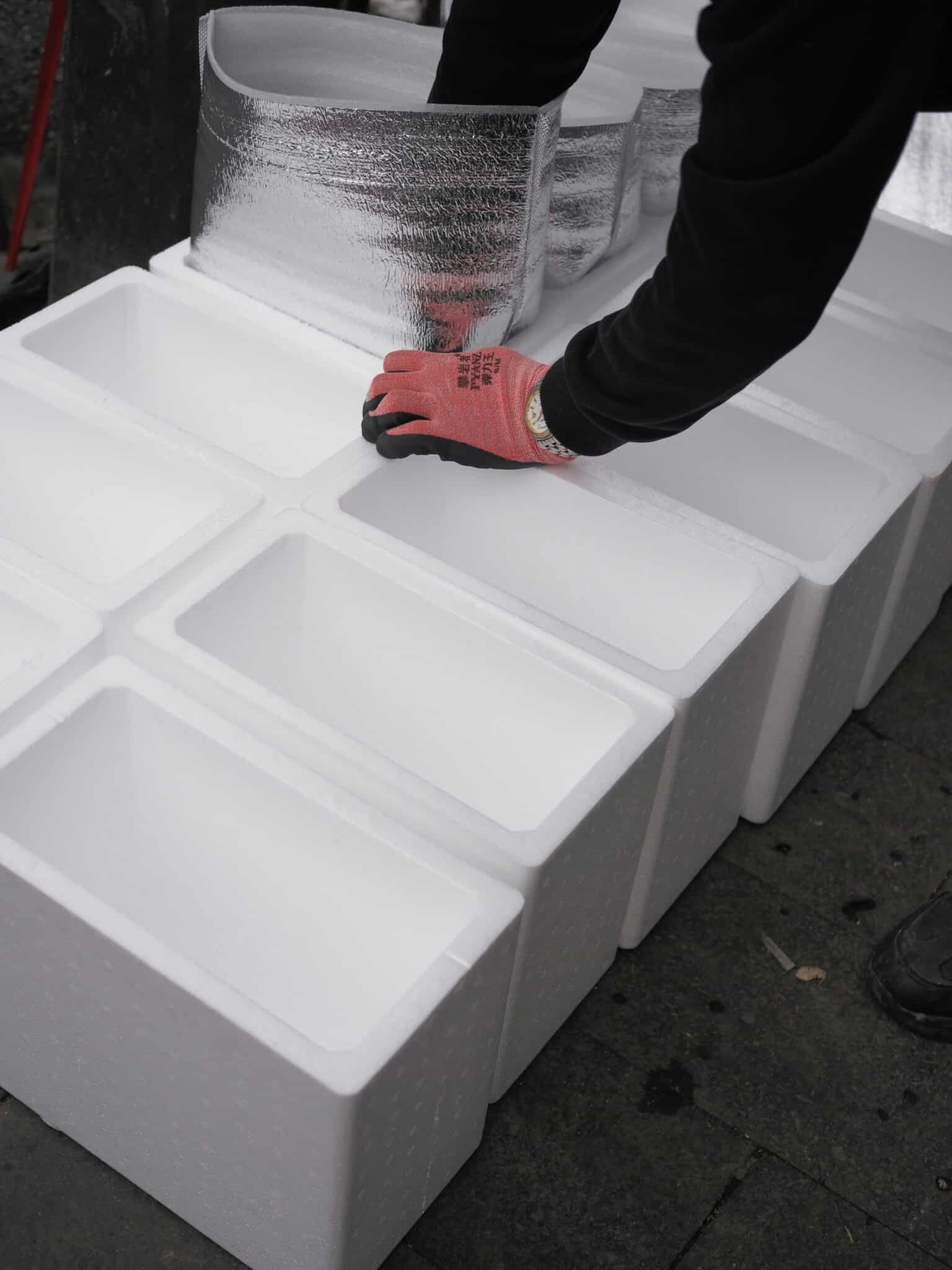 Warehouser worker packing cold chain boxes