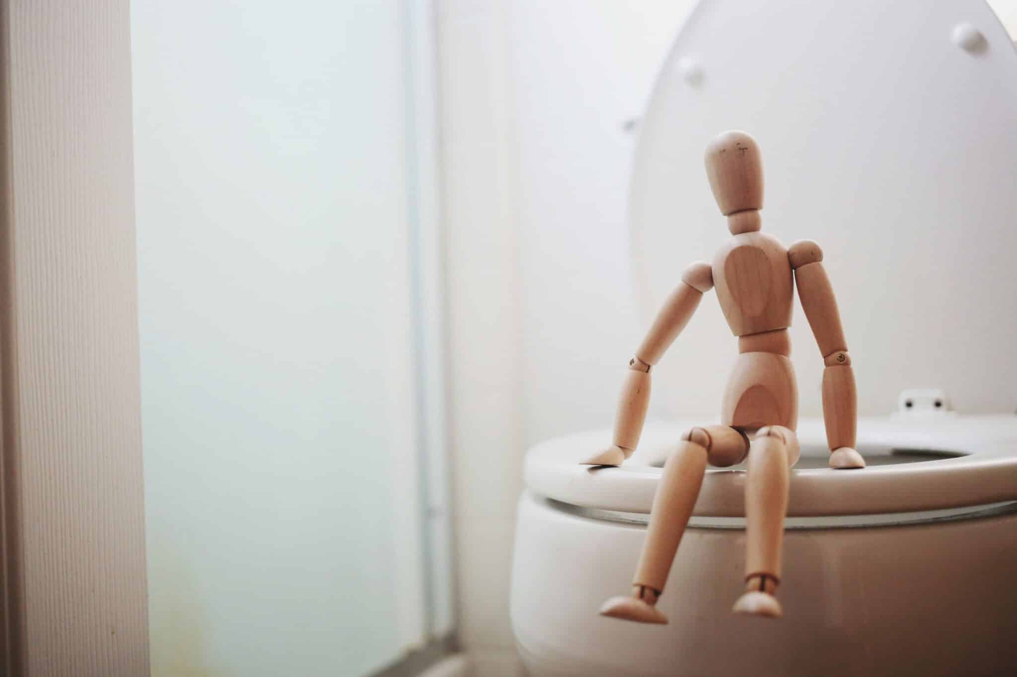 Wooden toy sitting on toilet